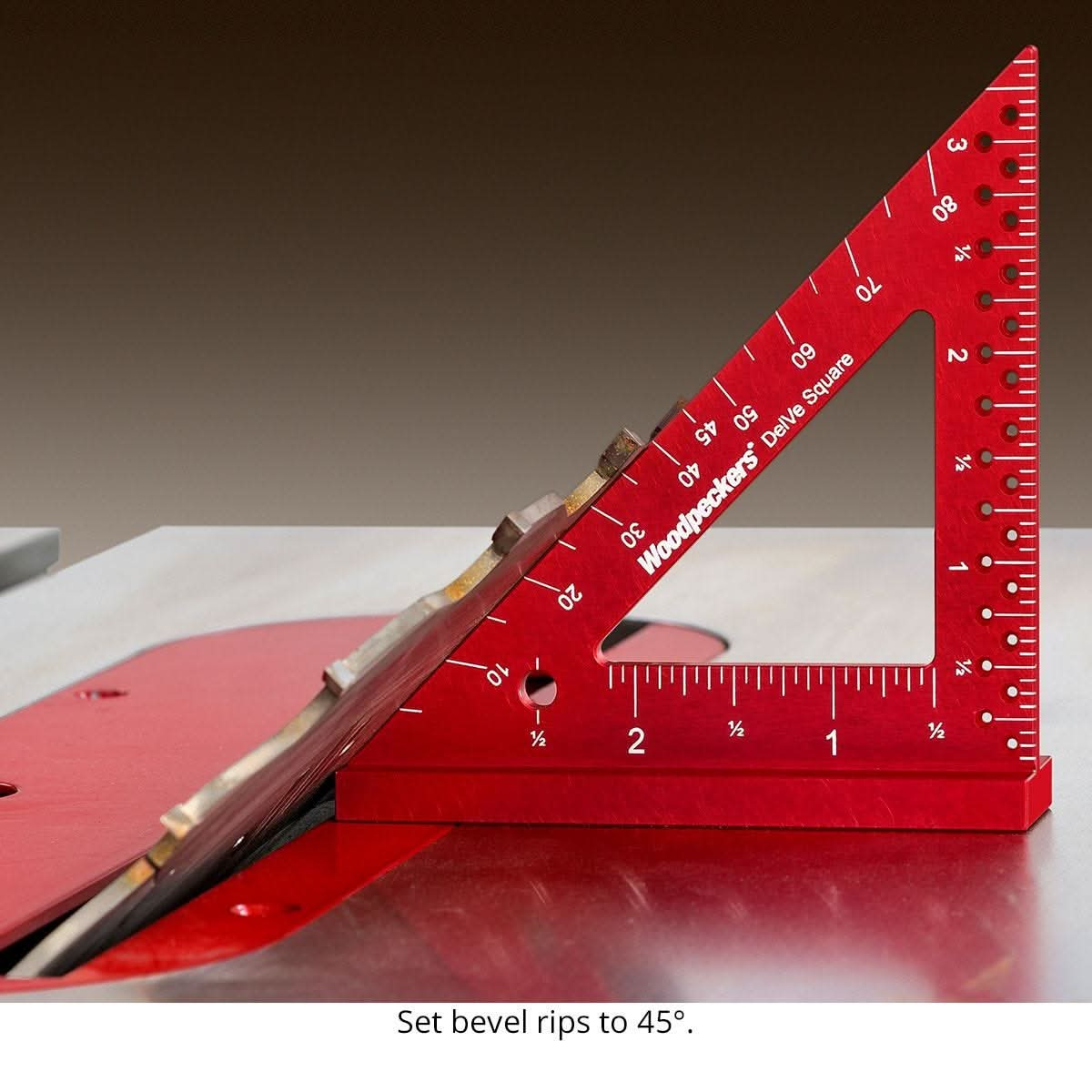 DELVESQAL6-40375001_9.jpg
