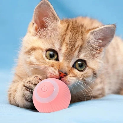 interactive-play-ball-for-cats-41191911_3.jpg